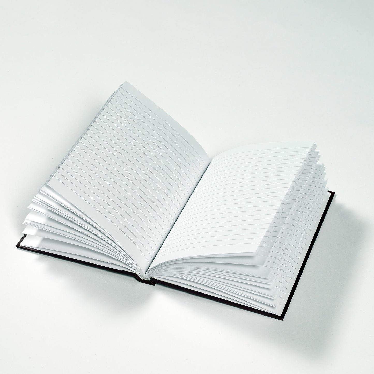 Jack Russells and Hearts Hardback Journal