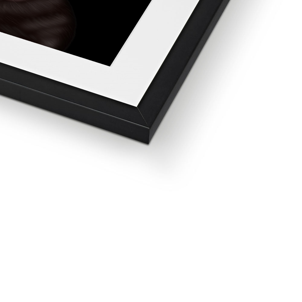 Staffordshire Bull Terrier Framed Print