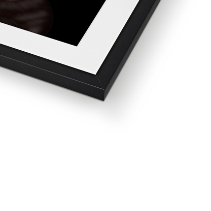 Staffordshire Bull Terrier Framed Print